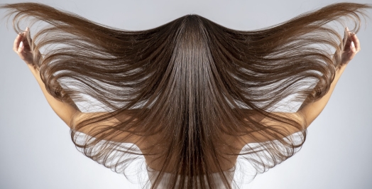 Servicio Taninoplastia